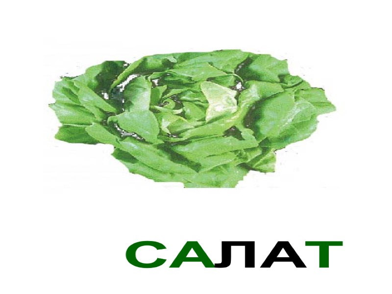 САЛАТ